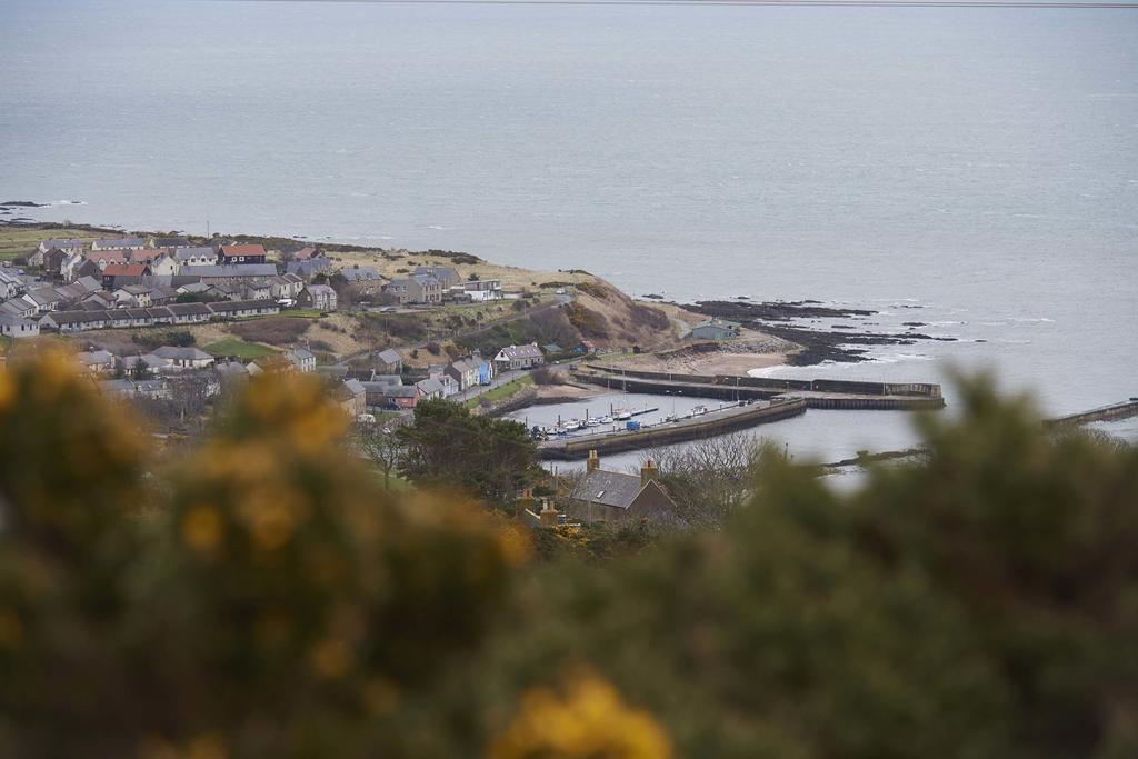 Piper'S Cave Bed And Breakfast Helmsdale Exteriör bild